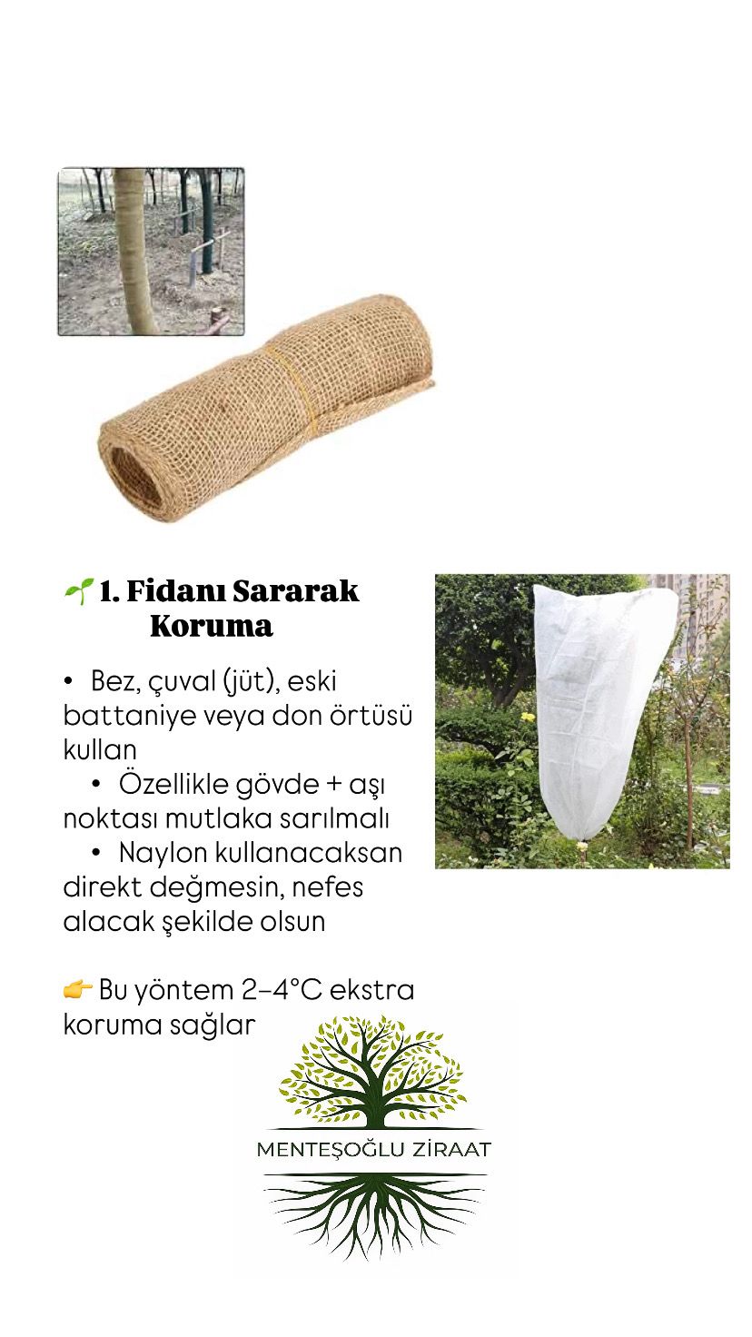 Karabük'te fidanı sararak koruma yöntemi
