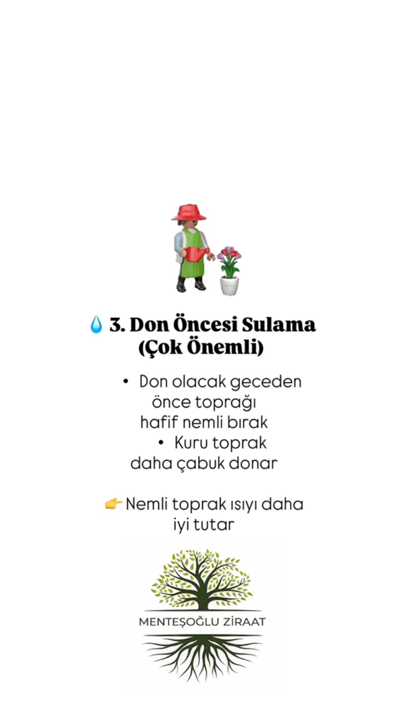 Karabük don öncesi sulama yöntemi