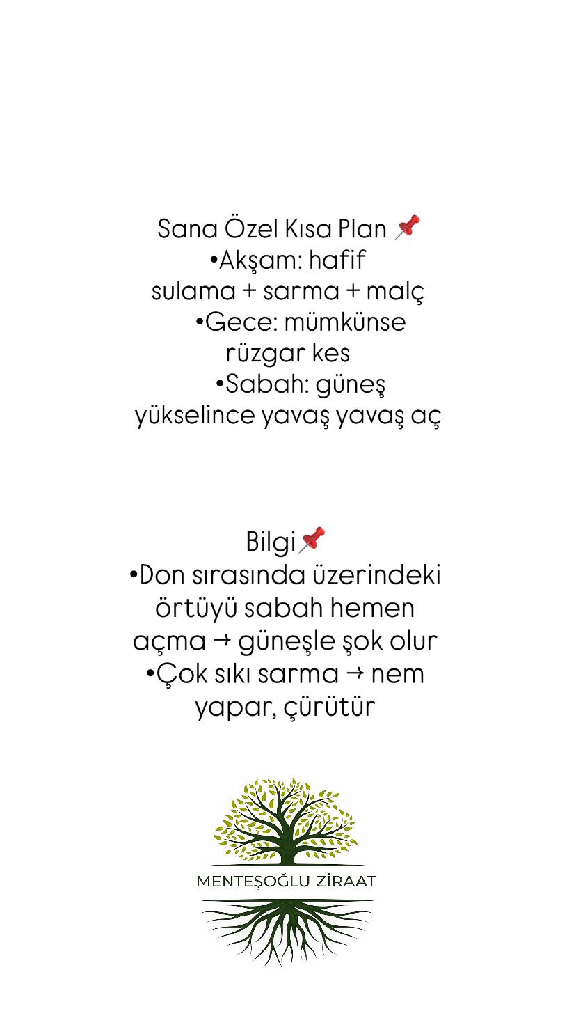 Karabük don geceleri için kısa fidan koruma planı