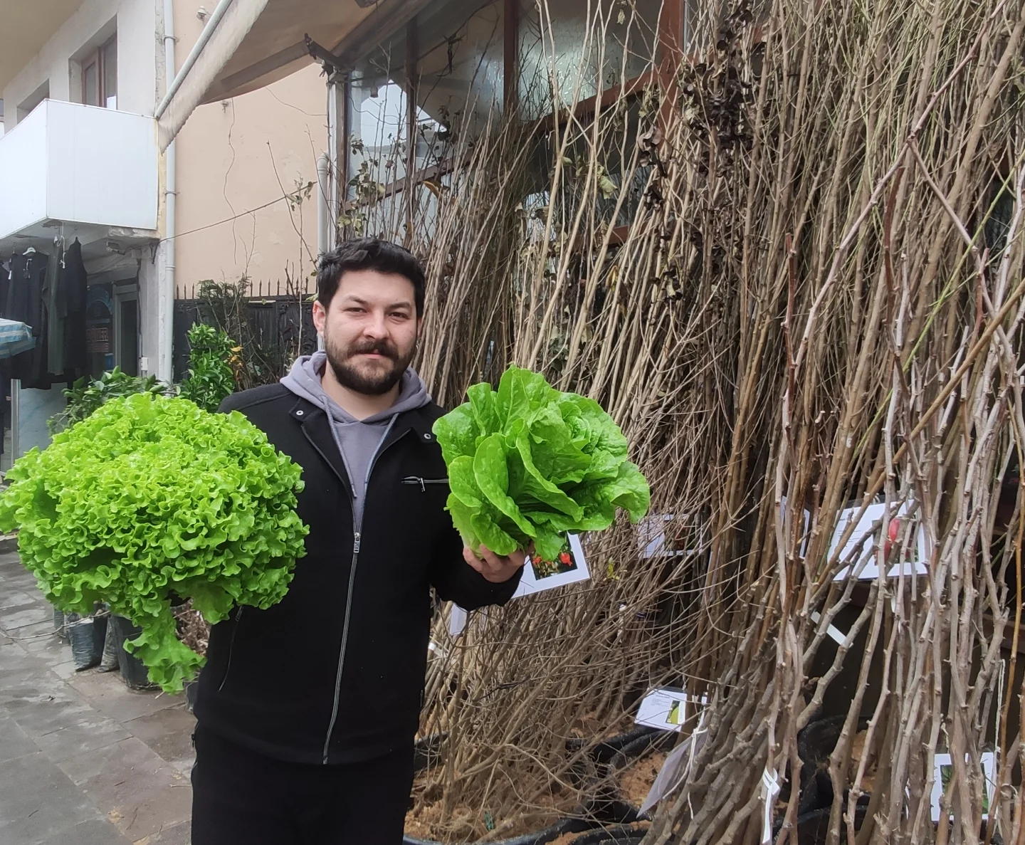 Karabük fidan çeşitleri